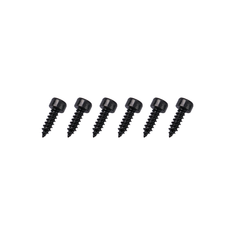 Goosky RS7 Screws ST3*10